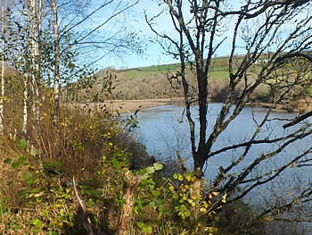Photo Gallery Image - Views of the River Lynher on the parish boundary