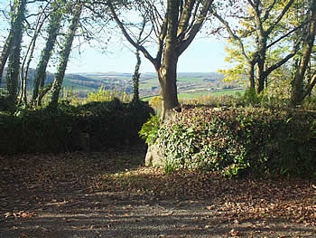 Photo Gallery Image - Lane by St Erney Church