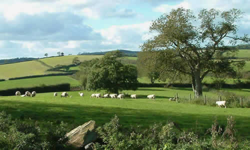 Views over Lantallack Fields