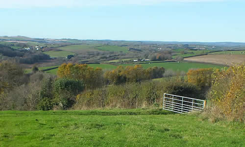 Views of the Parish from St Erney